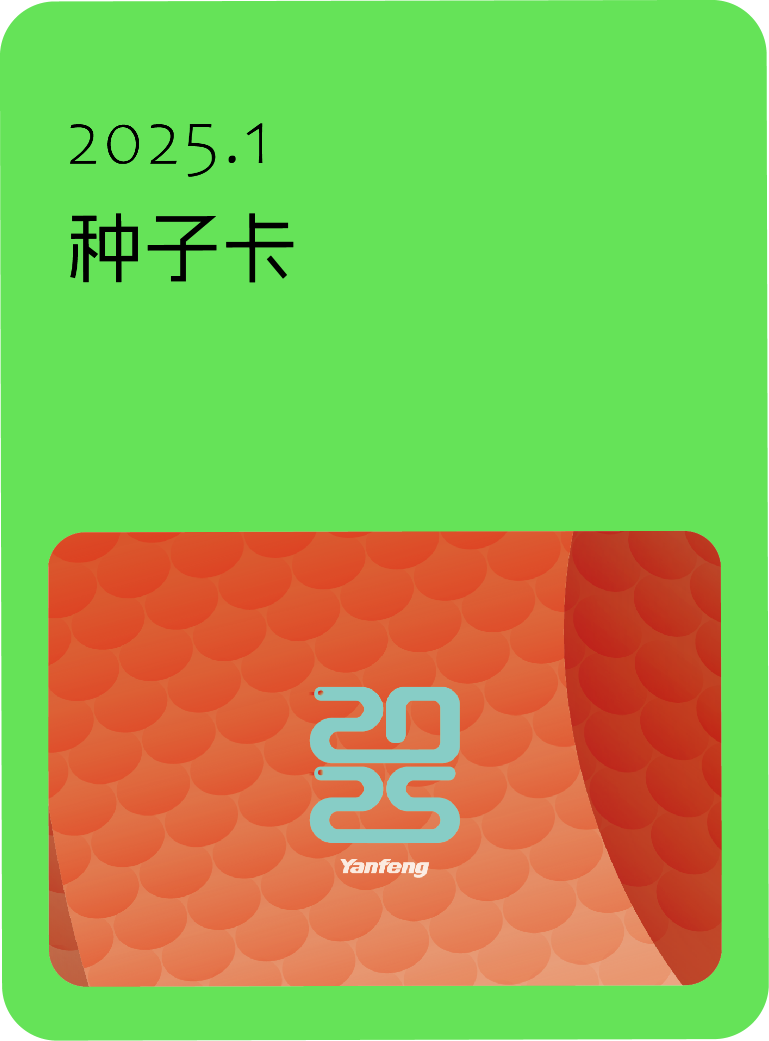 2025年1月，种子卡